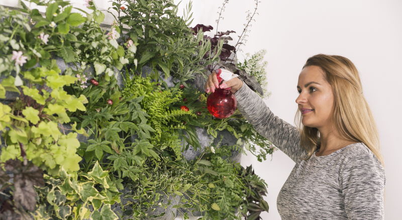 Dekle zaliva svojo zeleno steno.