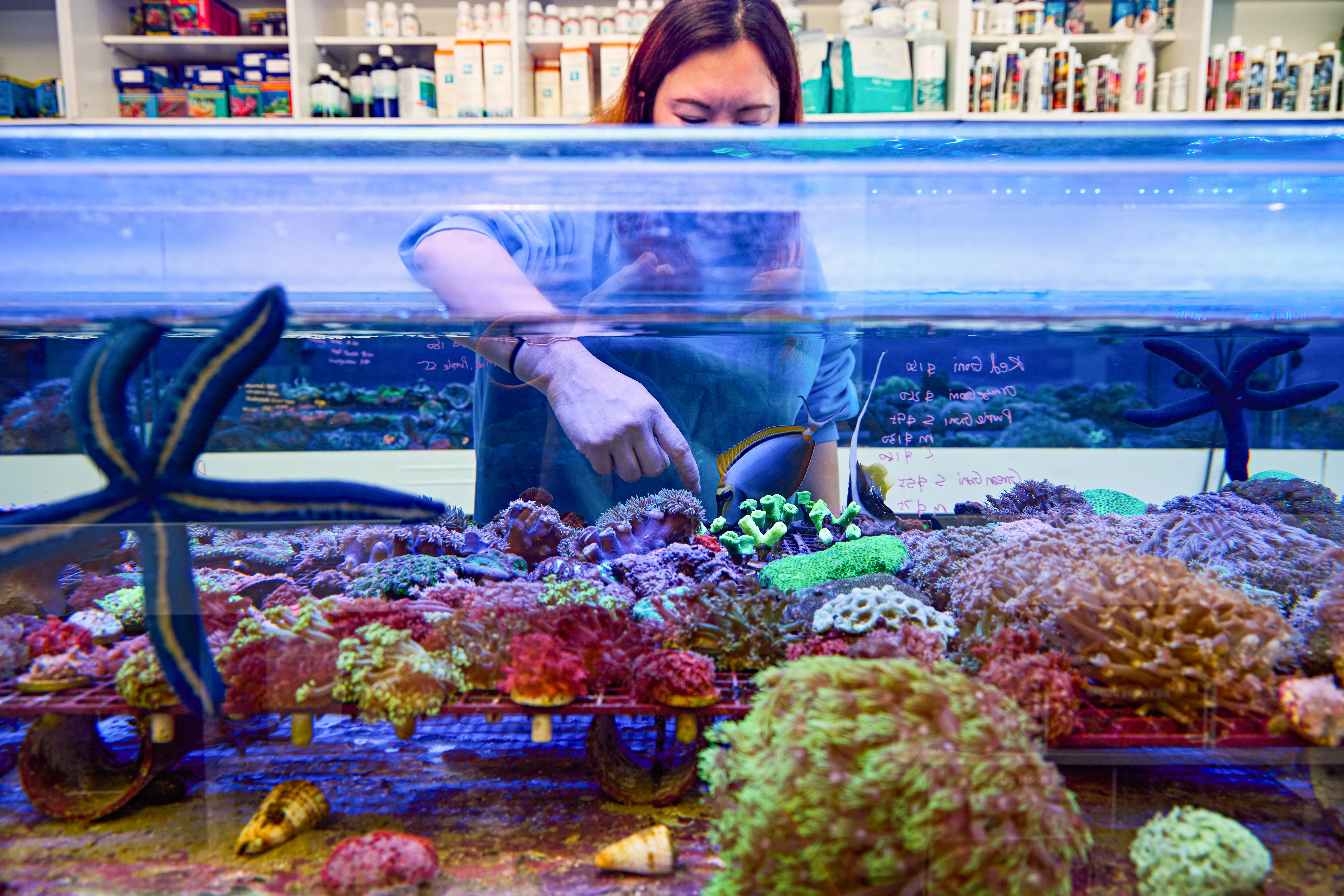 032 SQUARE EASTWOOD AQUARIUM