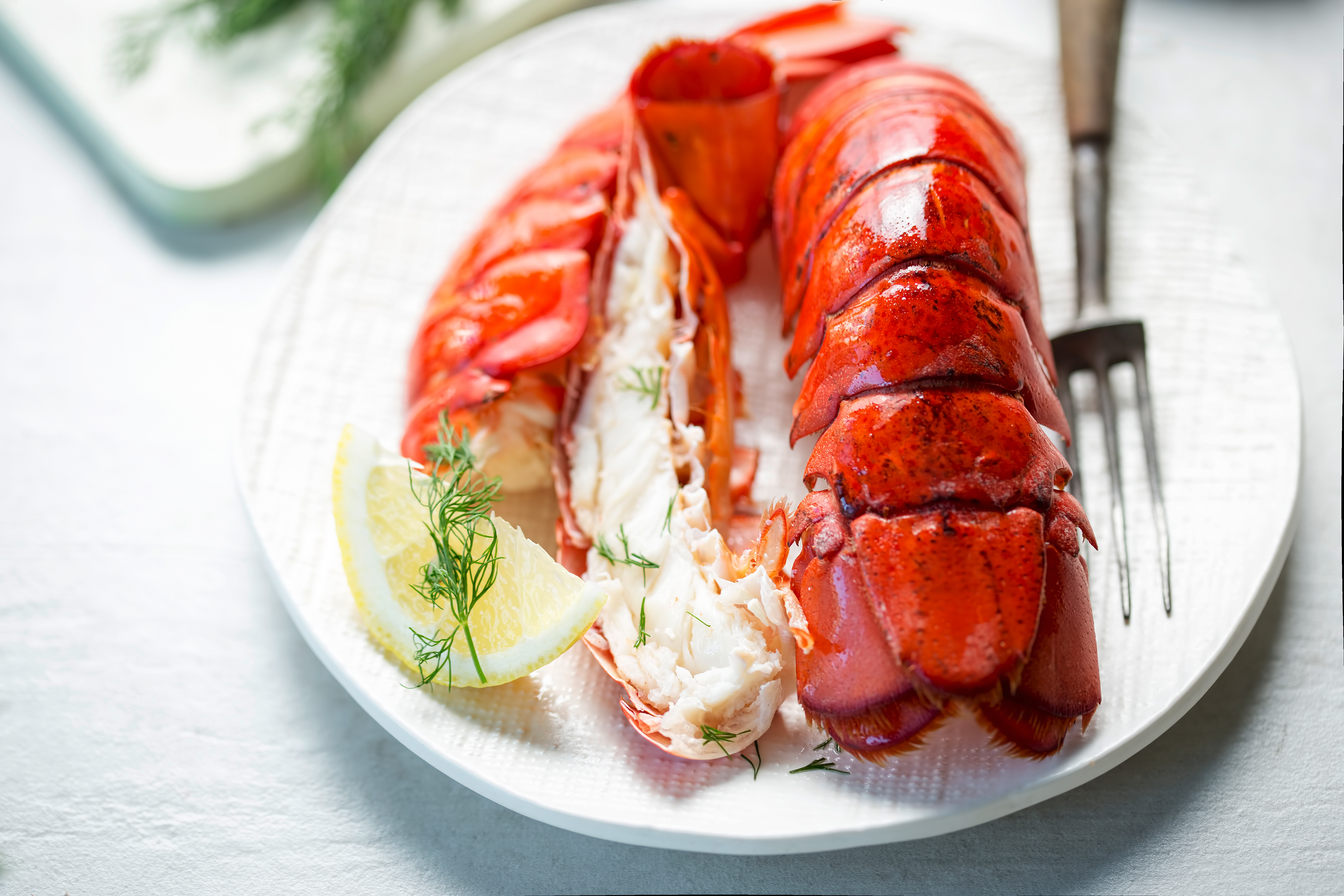 Lobster 101: How To Cook Lobster Tail
