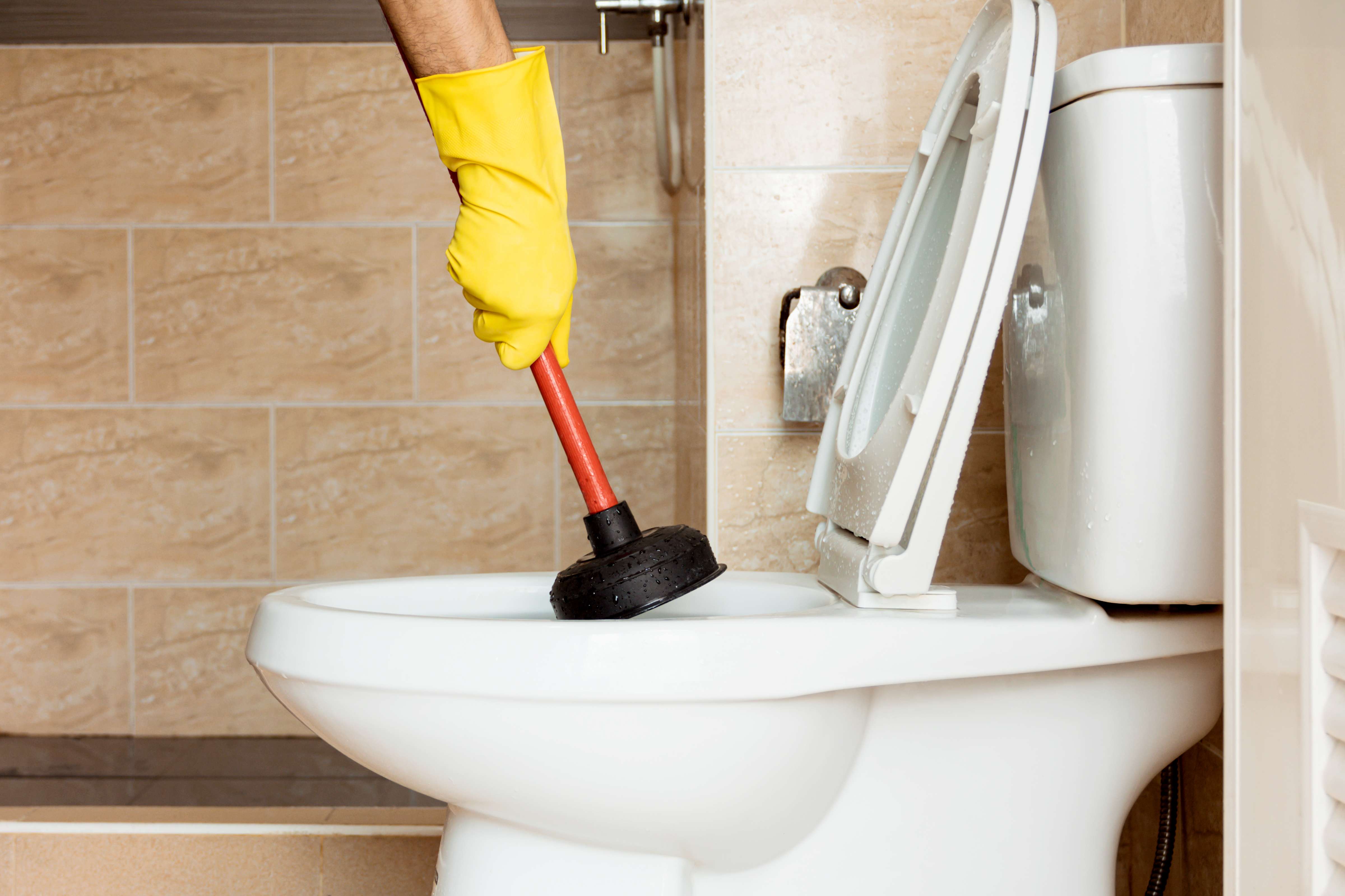 15 Common Causes and Tips of a Clogged Drain - Happy Hiller
