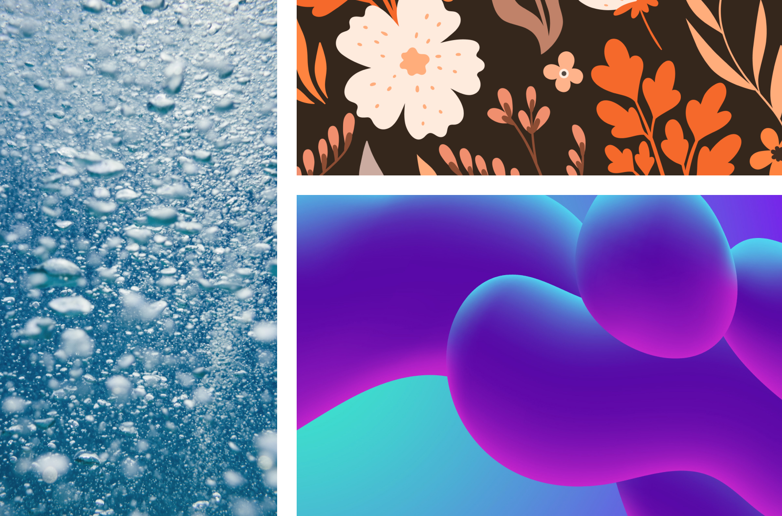 A gallery of abstract images and illustrations. One is bubbly water, another is an illustration of different flowers, and the other is an abstract, fluid illustration.