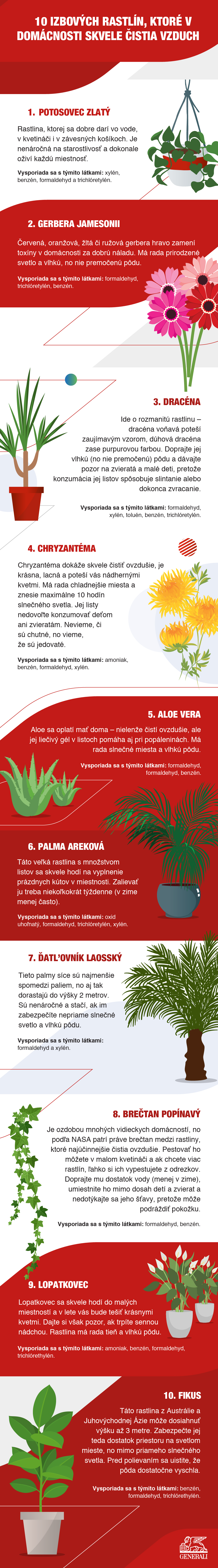 1557783_GeneraliSlovakia-The10BestAir-PurifyingPlantsForYourHomeInfographic_020823.jpg