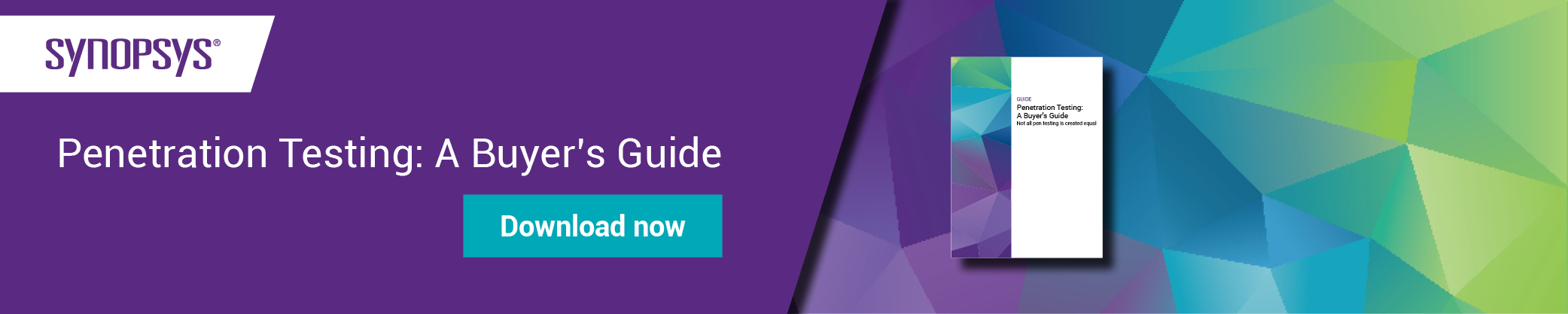 Penetration testing: A Buyer's Guide | Synopsys
