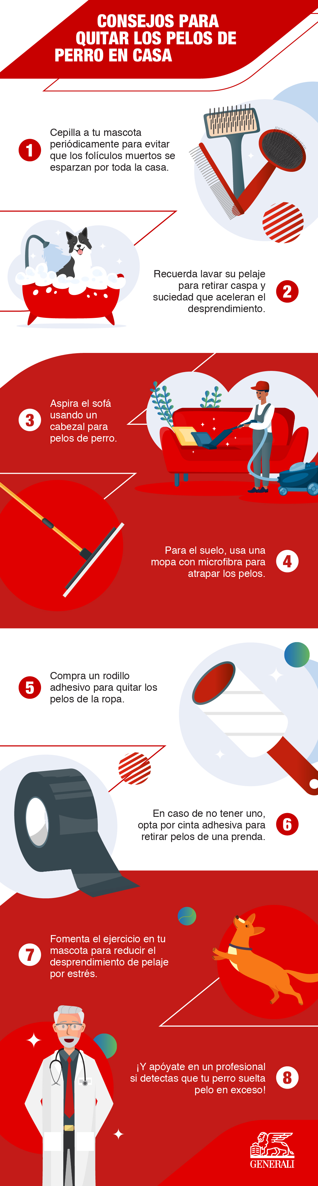 Generali-Spain-Infographic-Wha-Breeds-Of-Dog-Do-Not-Shed-Hair