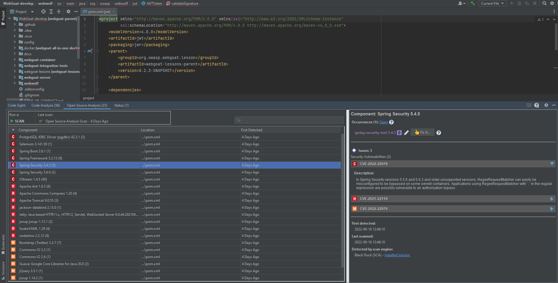 The Open Source Analysis view in Code Sight | Synopsys