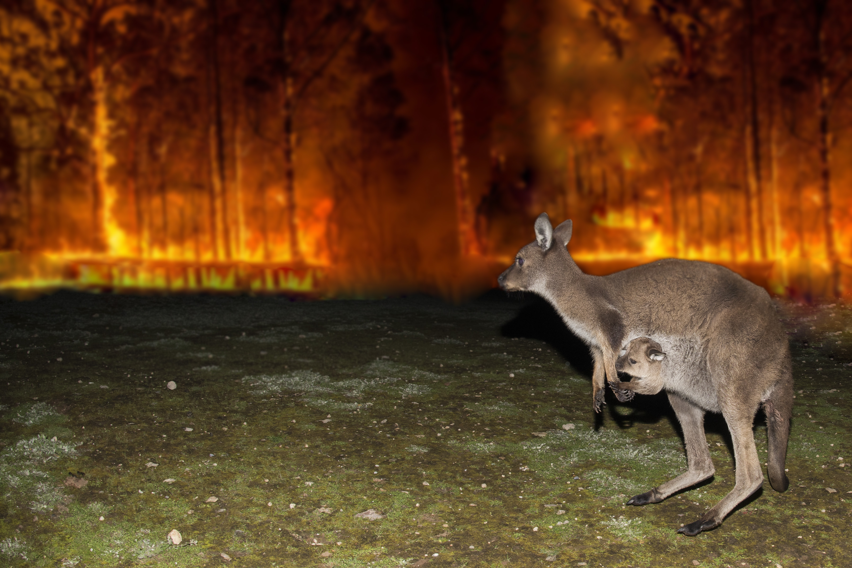 GettyImages-1201144586.jpg