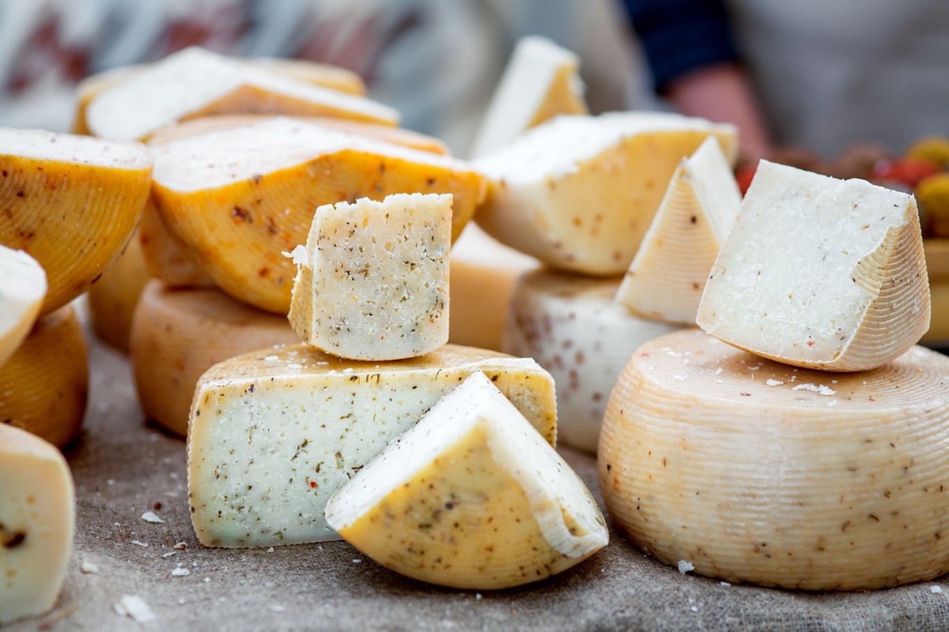 The Many Different Types of Cheese