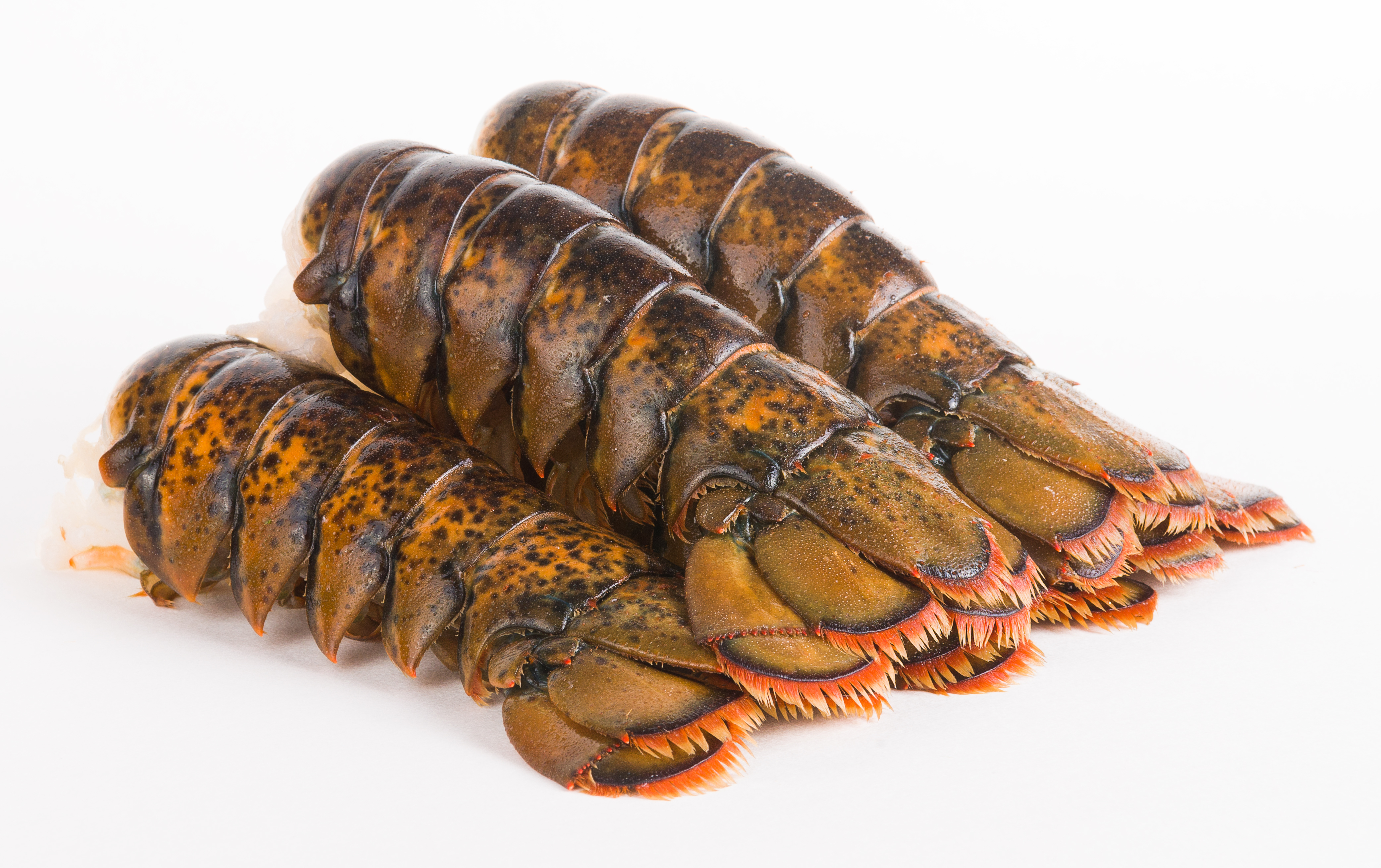 A Group Of Lobster Claws On A Grill by Romulo Yanes