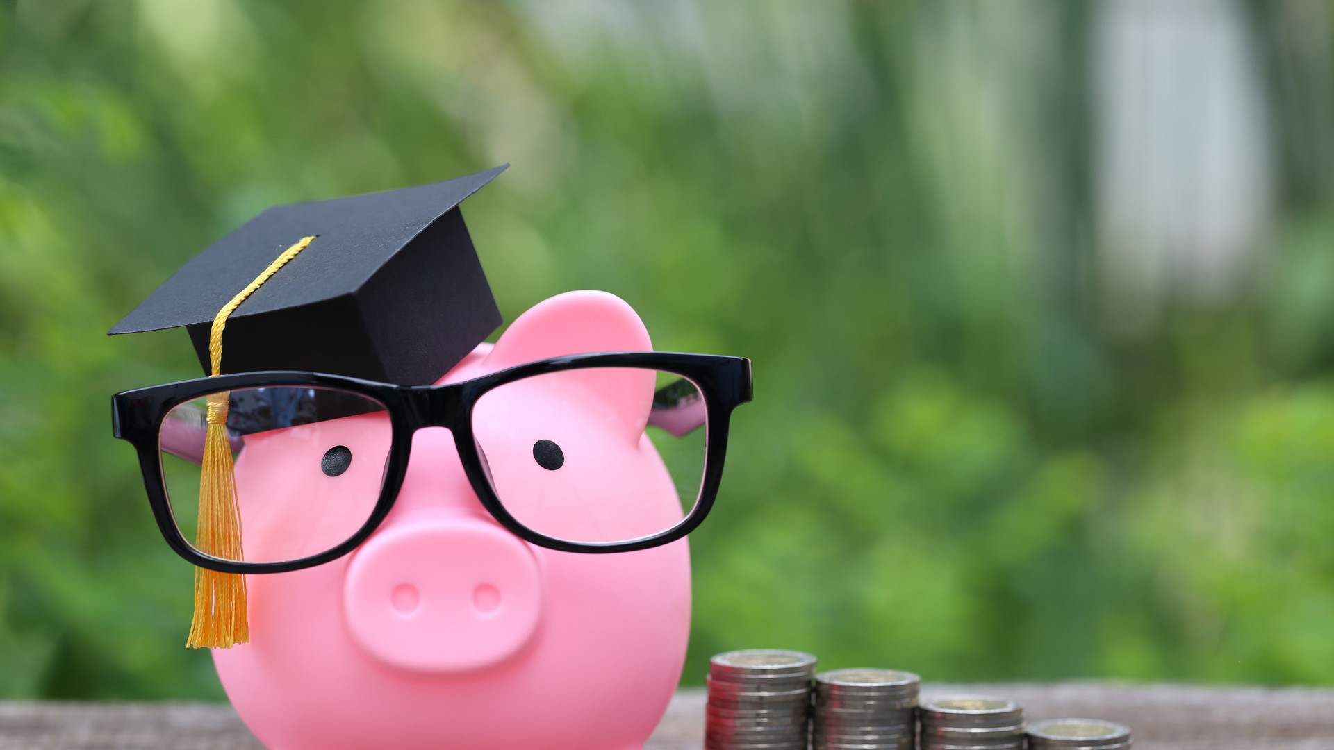 Graduation hat on pink piggy bank with stack of coins money on nature green background, Saving money for education concept