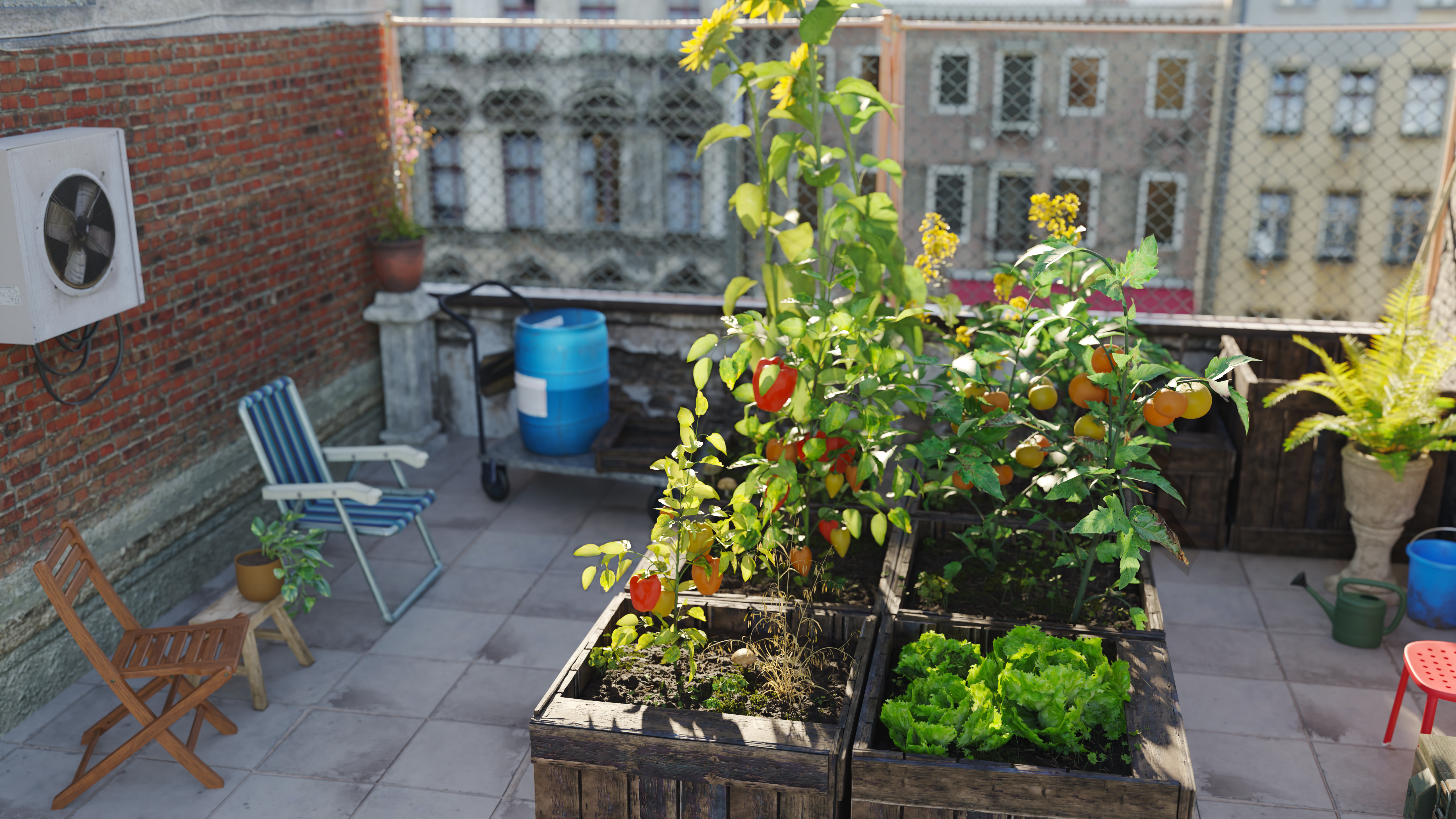 Urbani vrtiček na terasi bloka v mestni četrti, v soncu uspevajo paradižniki.