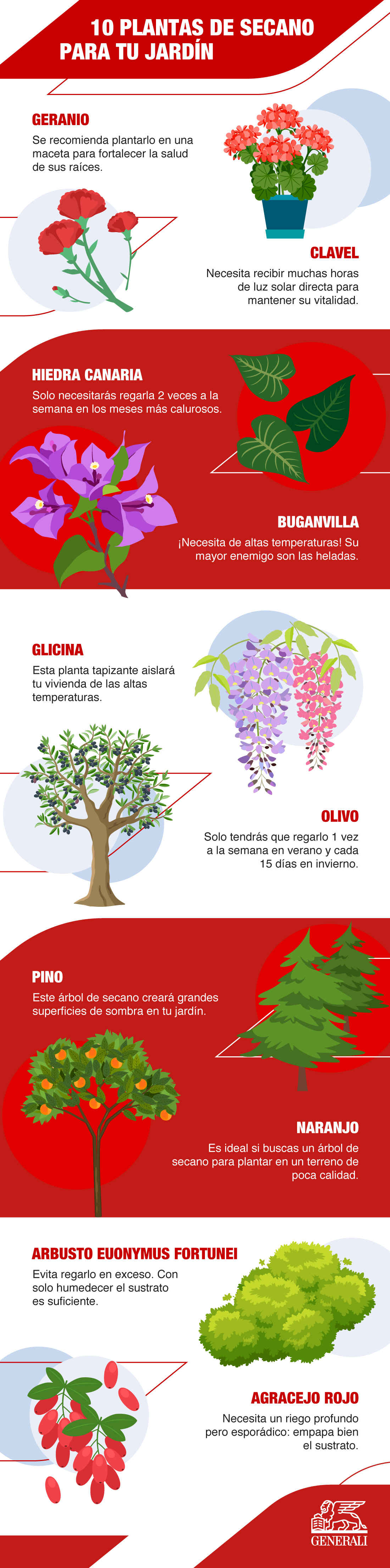 GeneraliSpain(Infographics)-10PlantsThatSurvive_072523 (1).jpg