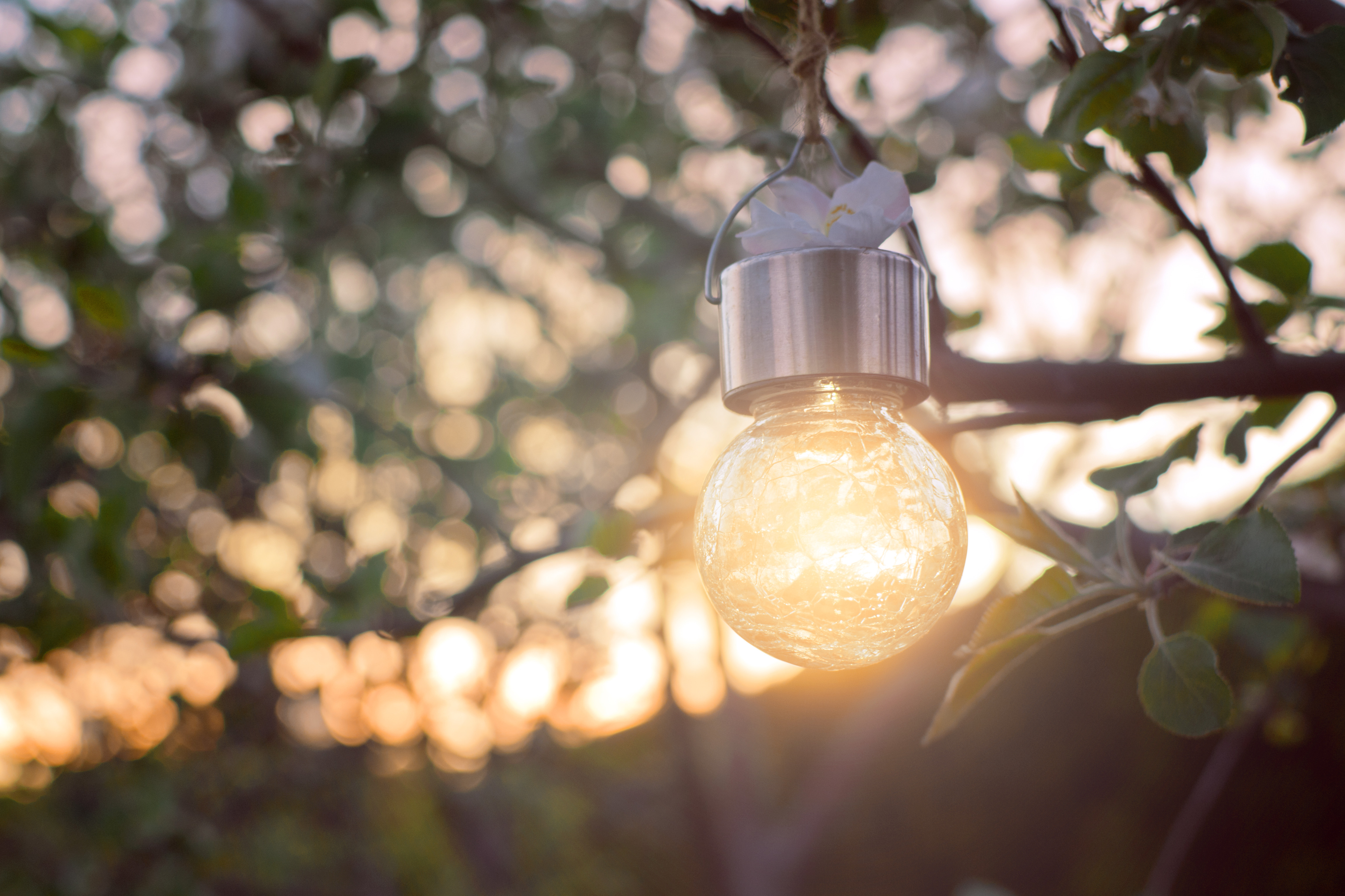 Sun shining through garden light bulb during the sunset