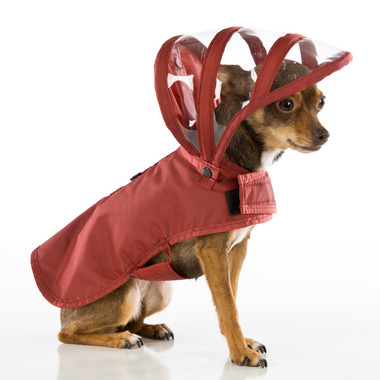 dog-raincoat-xs-maroon-13