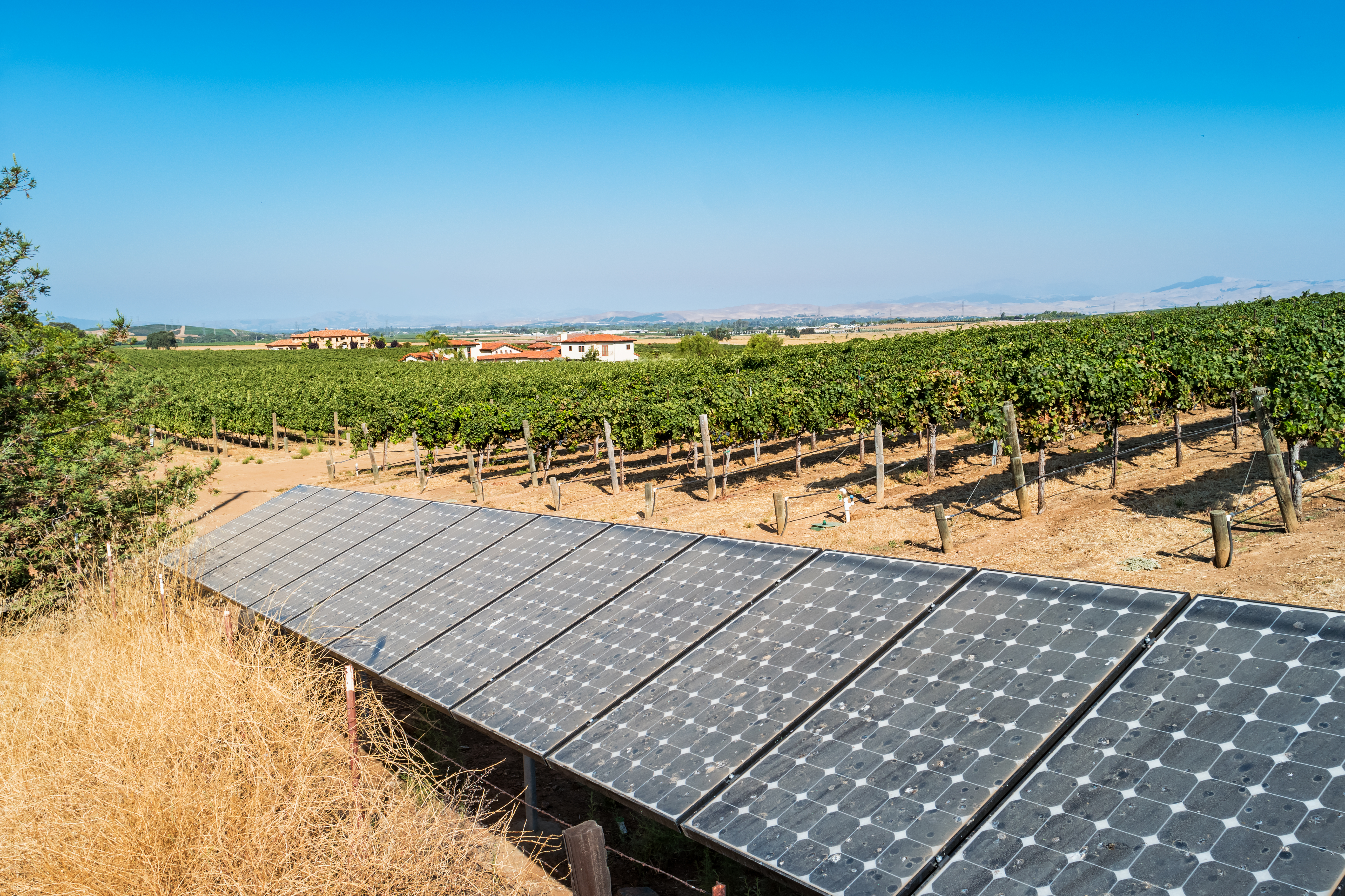 Solar panels at a vineyard in California USA