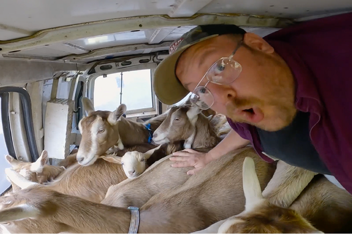 alt="KillYourLawn.png"