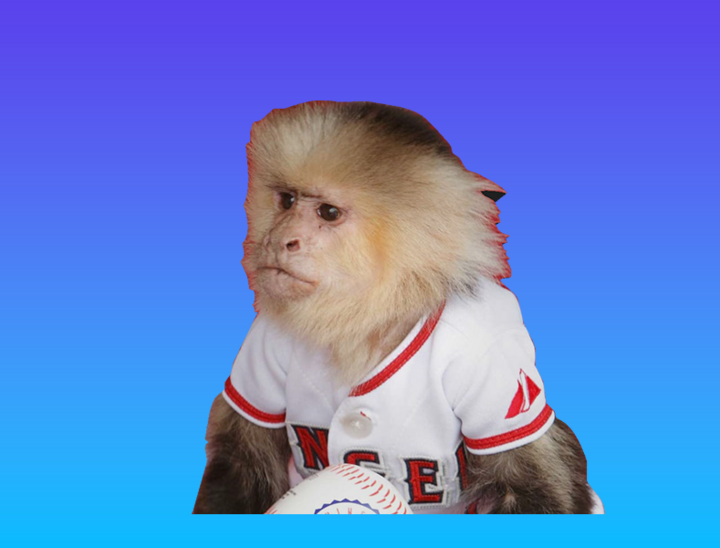 rallymonkey.png