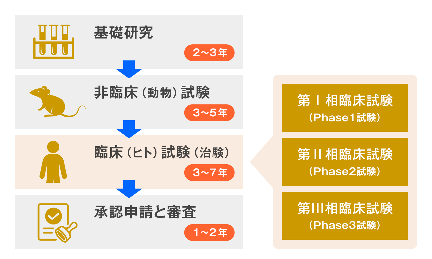 薬ができるまでの説明３.png