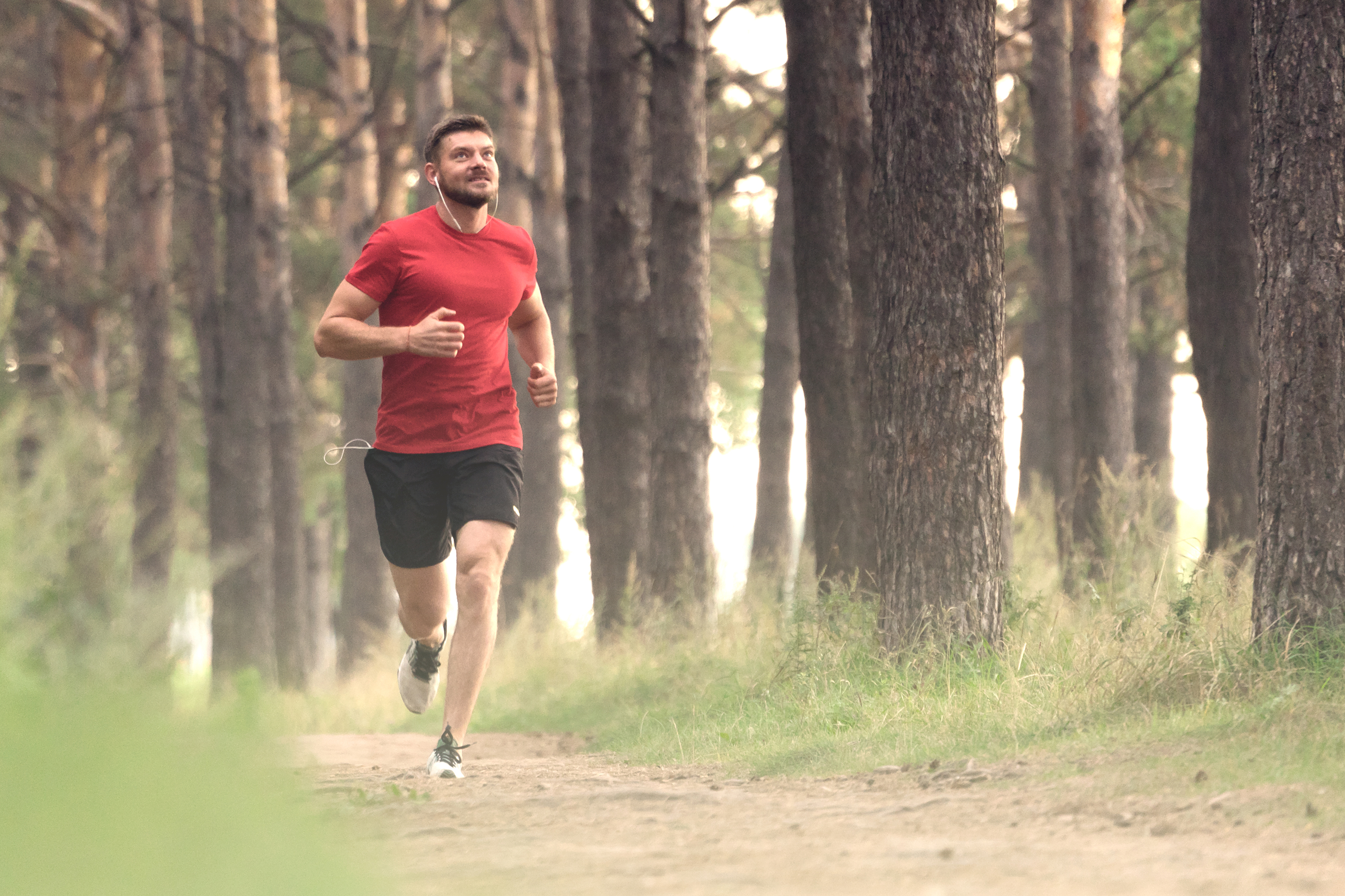 ▷ Zapatillas para gimnasio: GUÍA para principiantes