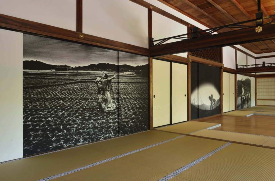 高台寺塔頭 圓徳院に展示された細江英公の作品（KYOTOGRAPHIE 2013）