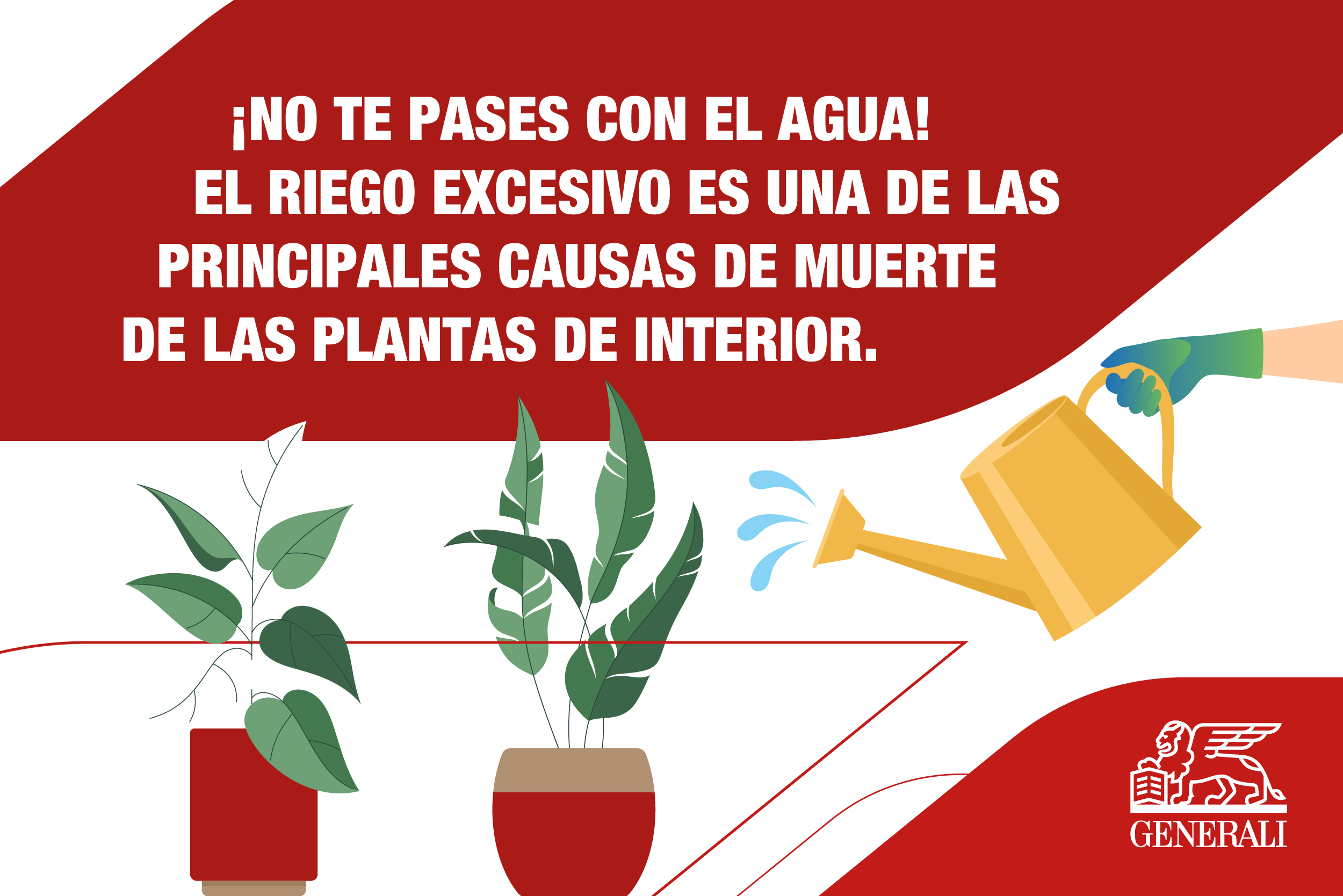 1634747_1634747_Copy-of-Generali-Spain-mini-graphics-x-4-caring-for-house-plants-01_050823 (1).jpg