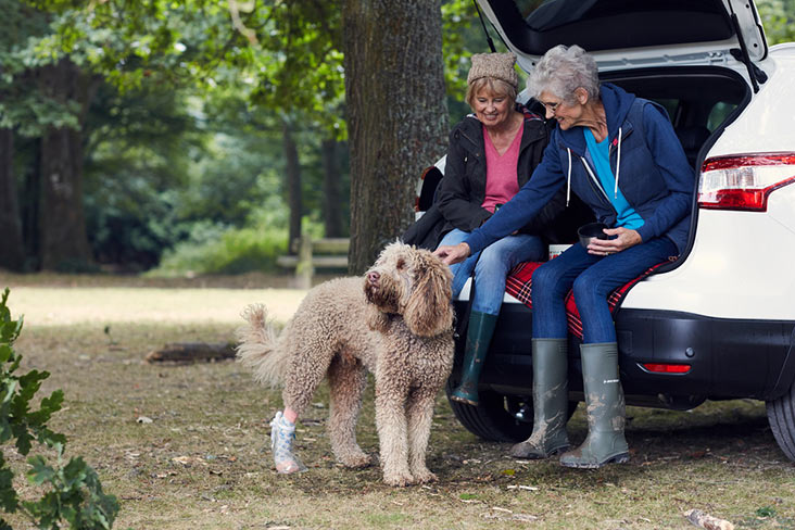 Motability Scheme customers dog walking