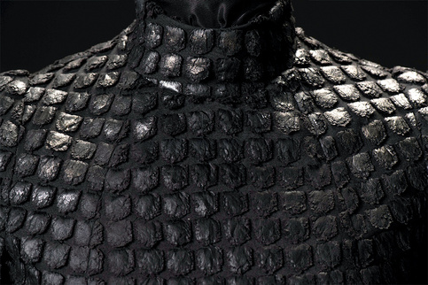 cerseidress.jpg