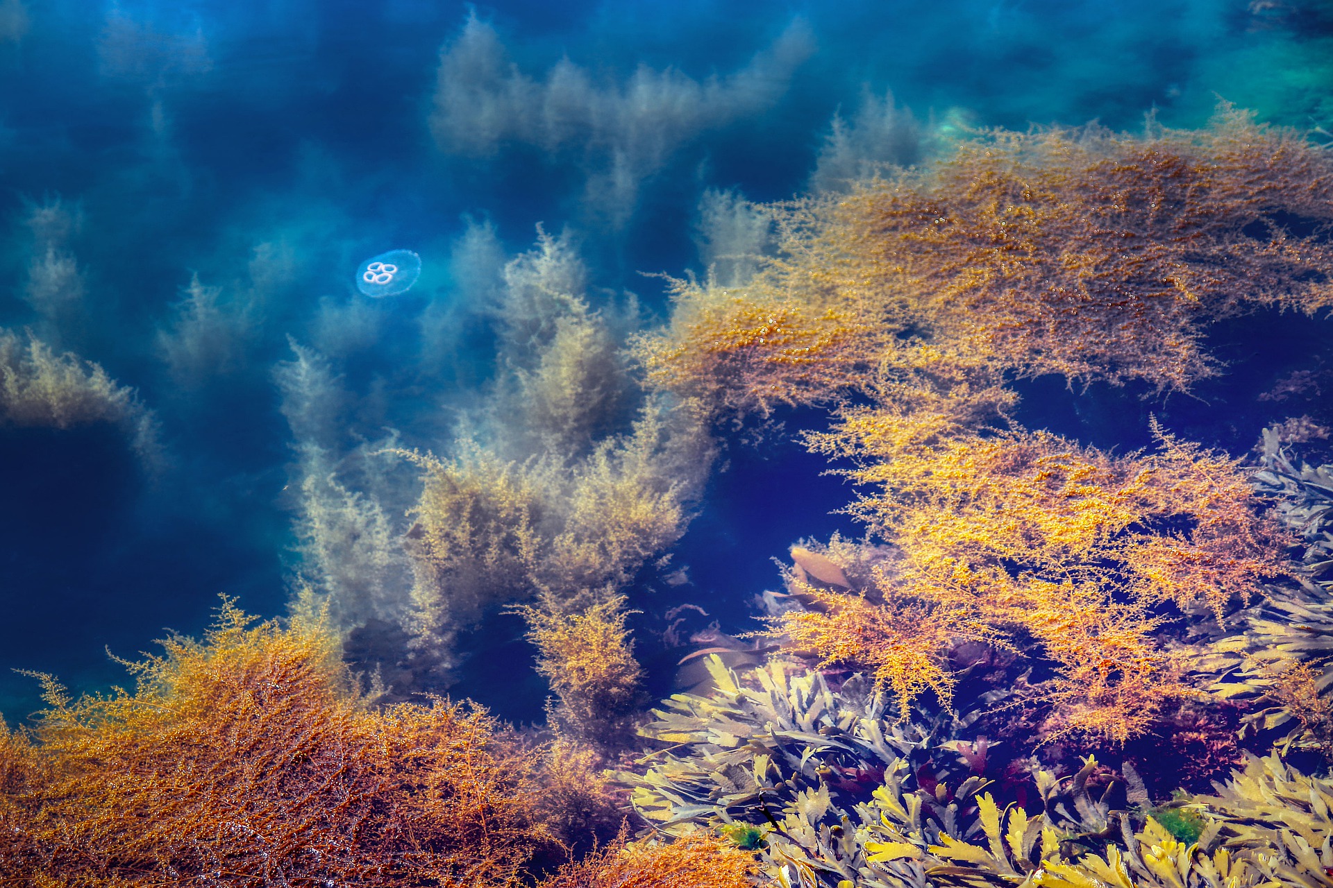 water-g0d8f11a37_1920.jpg