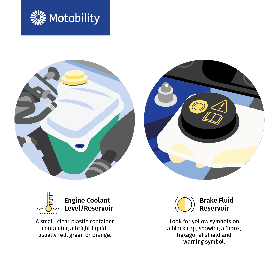 illustration showing the engine coolant level/reservoir, which is a small clear plastic container containing a bright liquid, and illustration showing the brake fluid reservoir, which you can identify by looking for yellow symbols on a black cap showing a book, hexagonal shield and warning symbol