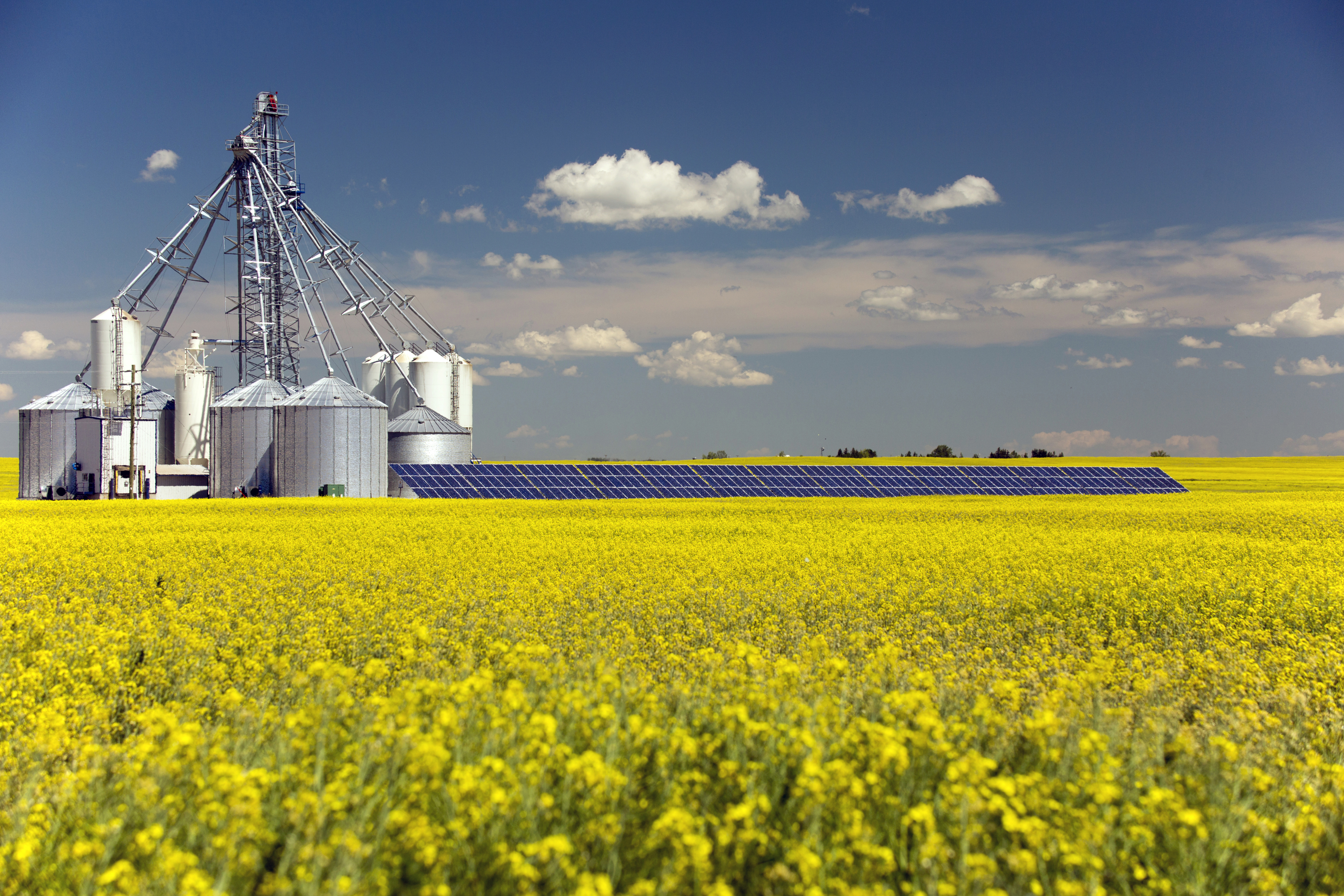 Canola Grain Silo Solar Panel