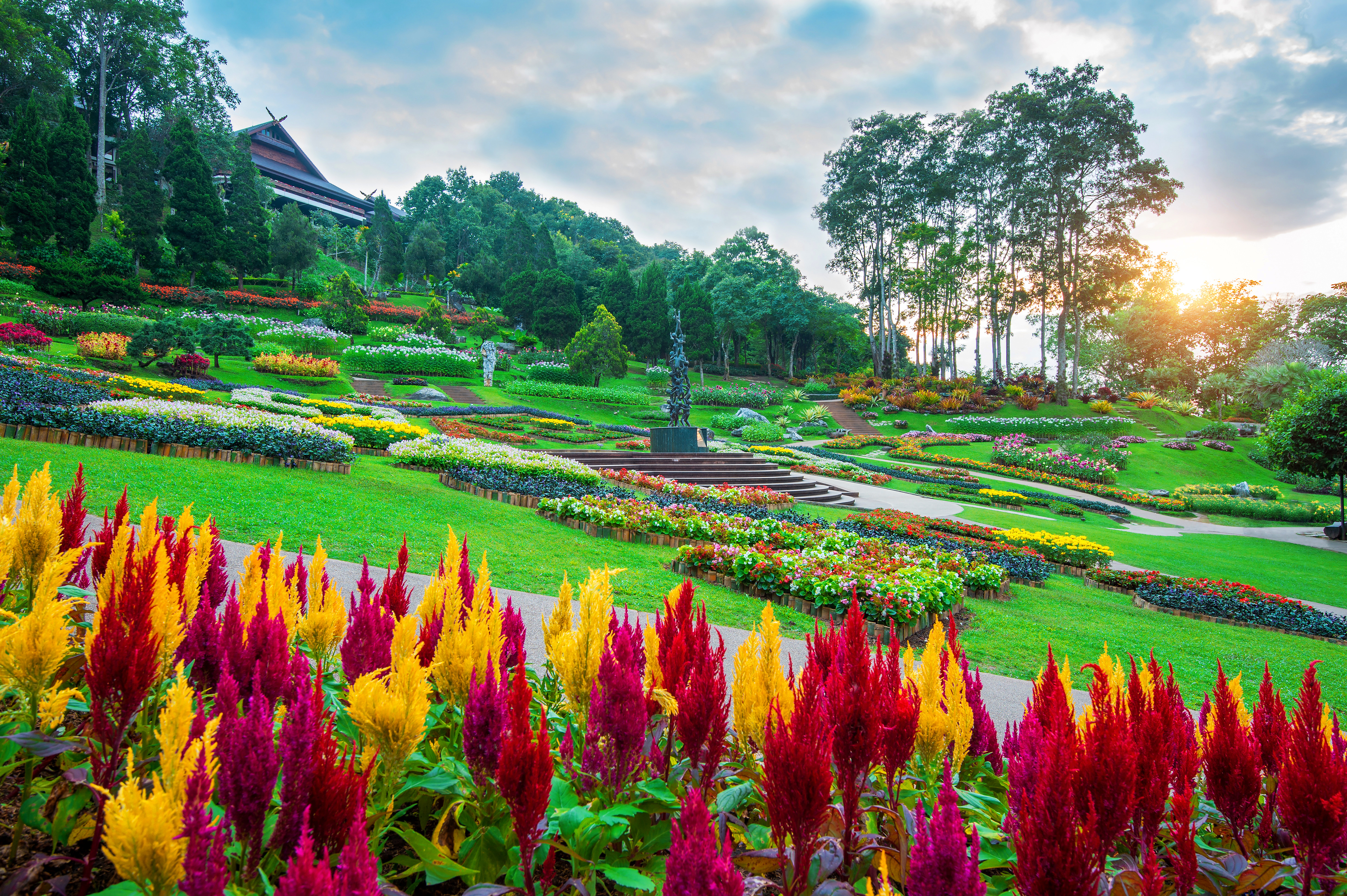 garden-flowers-mae-fah-luang-garden-locate-doi-tung-chiang-rai-thailand.jpg