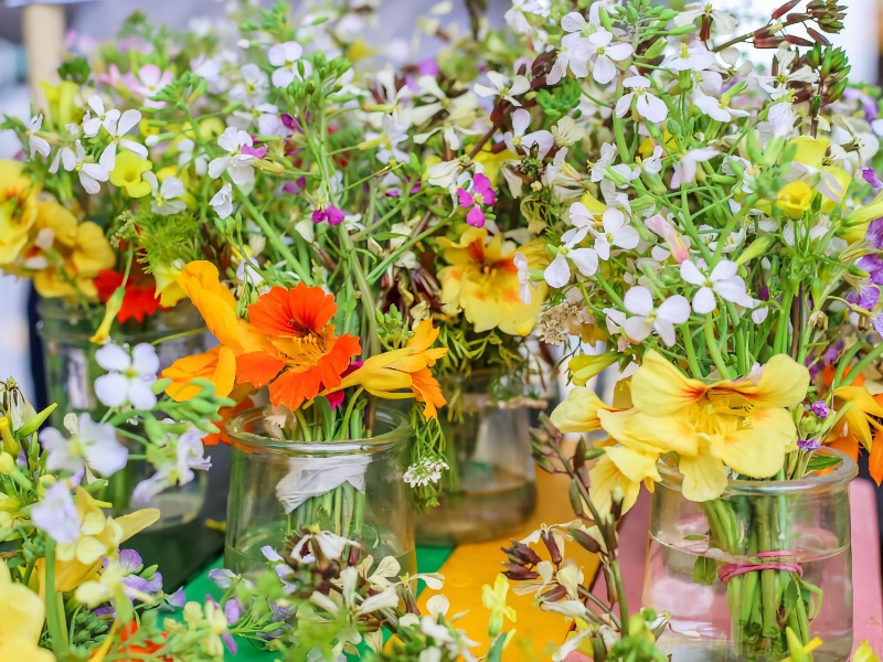 A Guide to Edible Flowers - Beyond Nasturtiums - Penn Jersey Paper