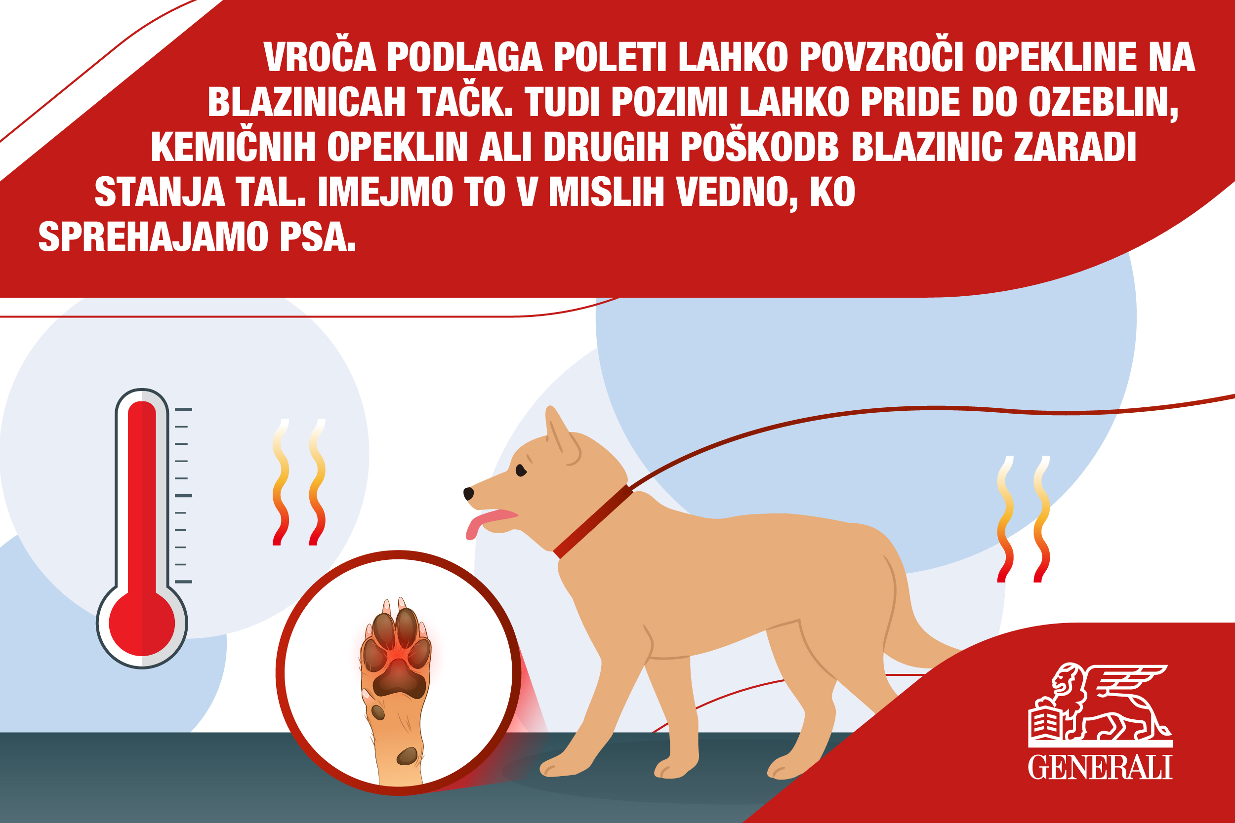 1584648_GeneraliSlovenia-10DangersWhenWalkingYourDog_2_032723.jpg