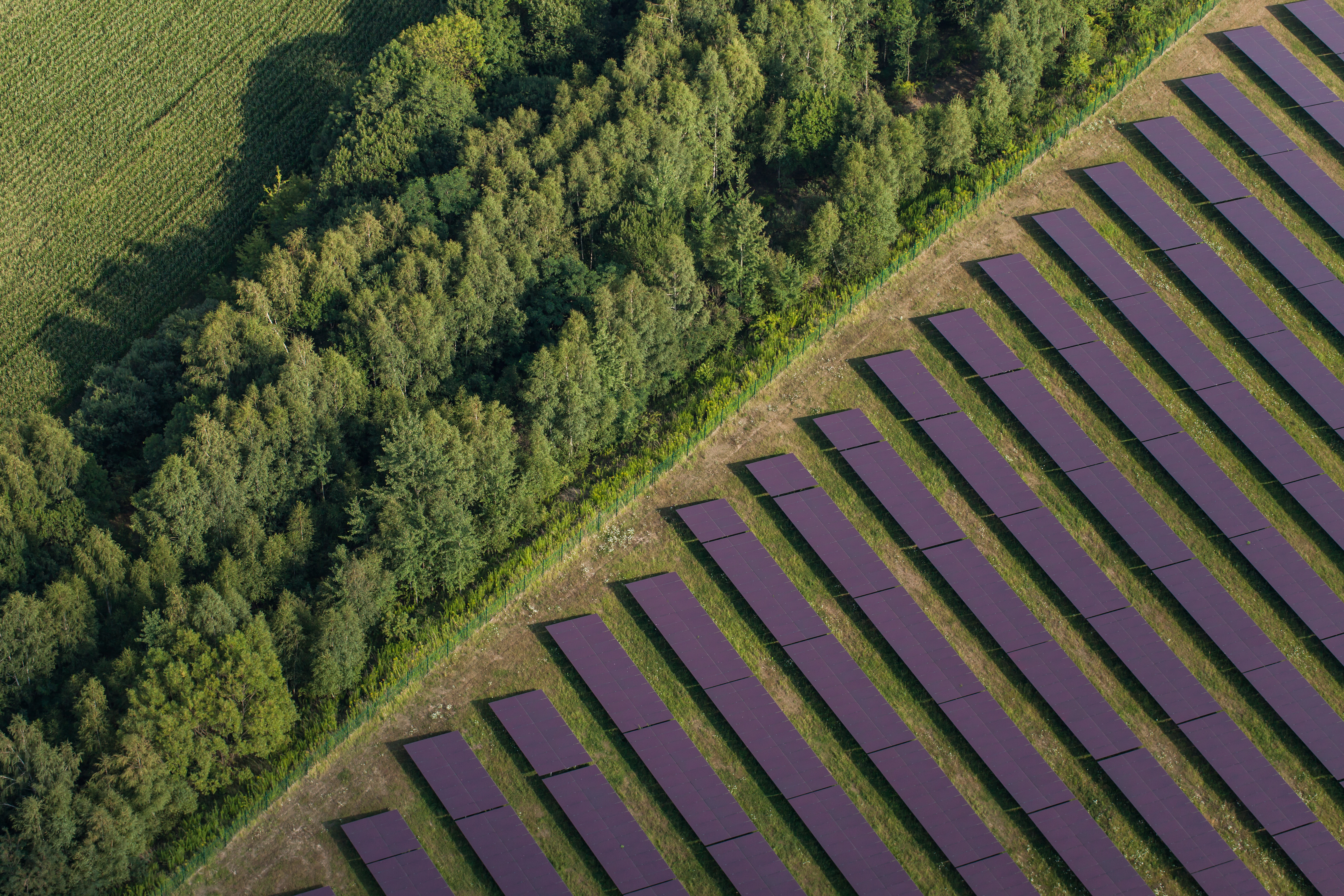 Aerial view of solar power plant