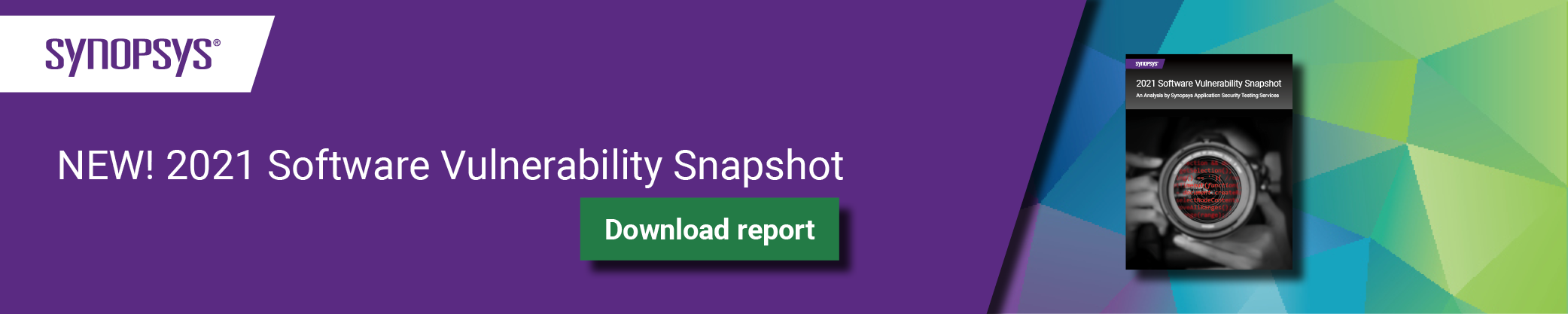 Snapshot Software Vulnerability Report 2021 |  Synopsis