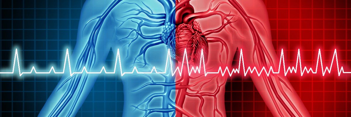 Atrial Fibrillation disorder heart problem and ecg as a coronary cardiac attack with irregular and normal organ rythm as chest discomfort disease concept as a person suffering from a circulation illness in a 3D illustration style.