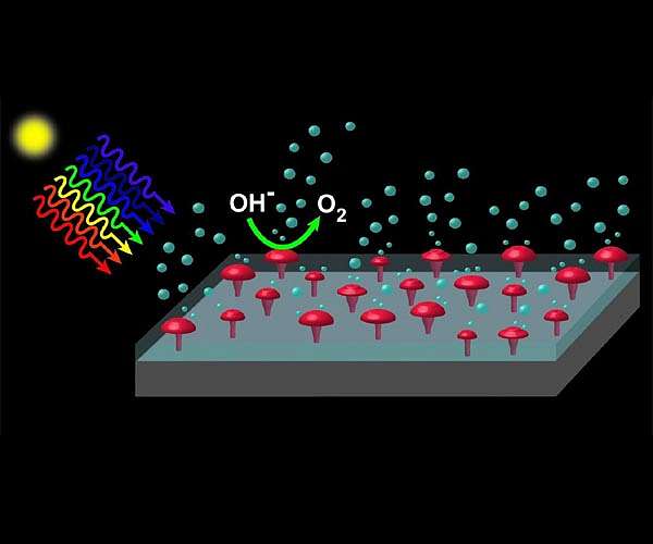 graphic-basic-geometry-functionality-photoanode-device-making-clean-hydrogen-university-texas-austin-hg.jpg