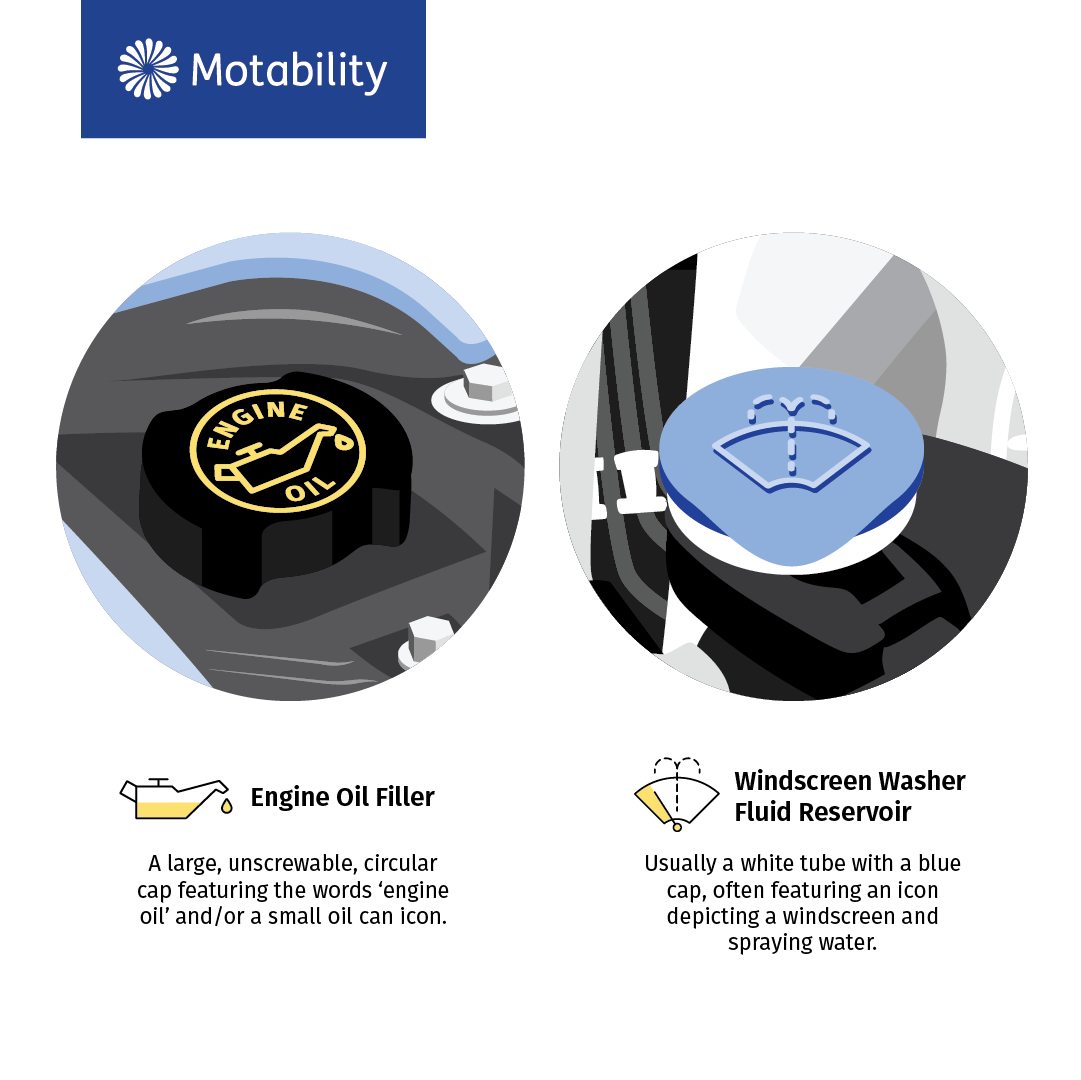 illustration showing the engine oil filler, a large unscrewable circular cap featuring the words engine oil or a small oil can icon, and illustration of the windscreen washer fluid reservoir, a tube with a blue cap which often features an icon of a windscreen and spraying water