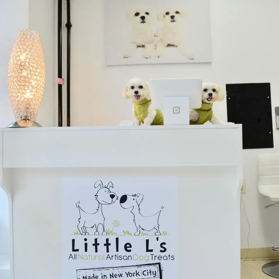 little l's pet boutique