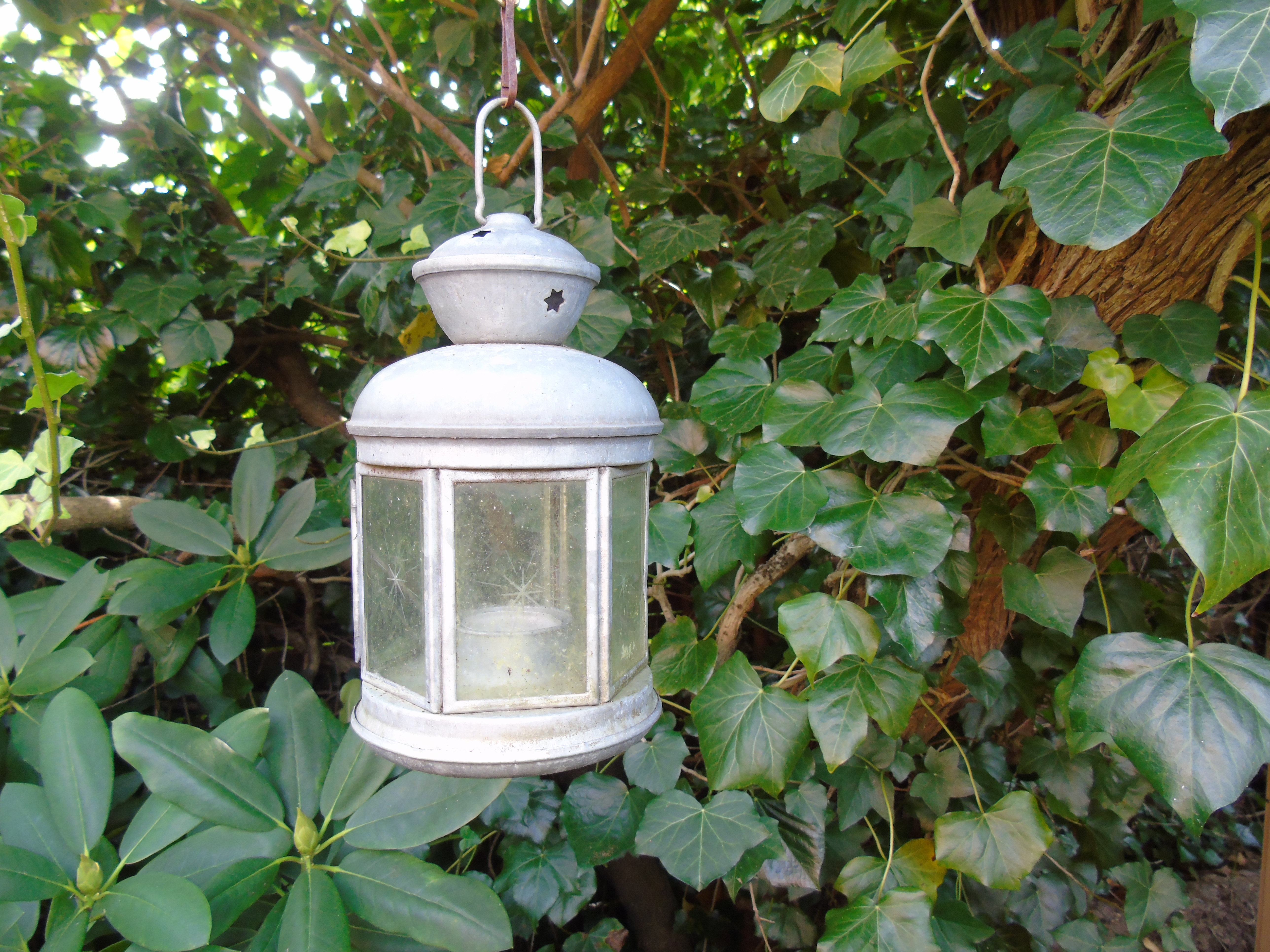 light-flower-green-lantern-botany-lamp-481900-pxhere.com.jpg
