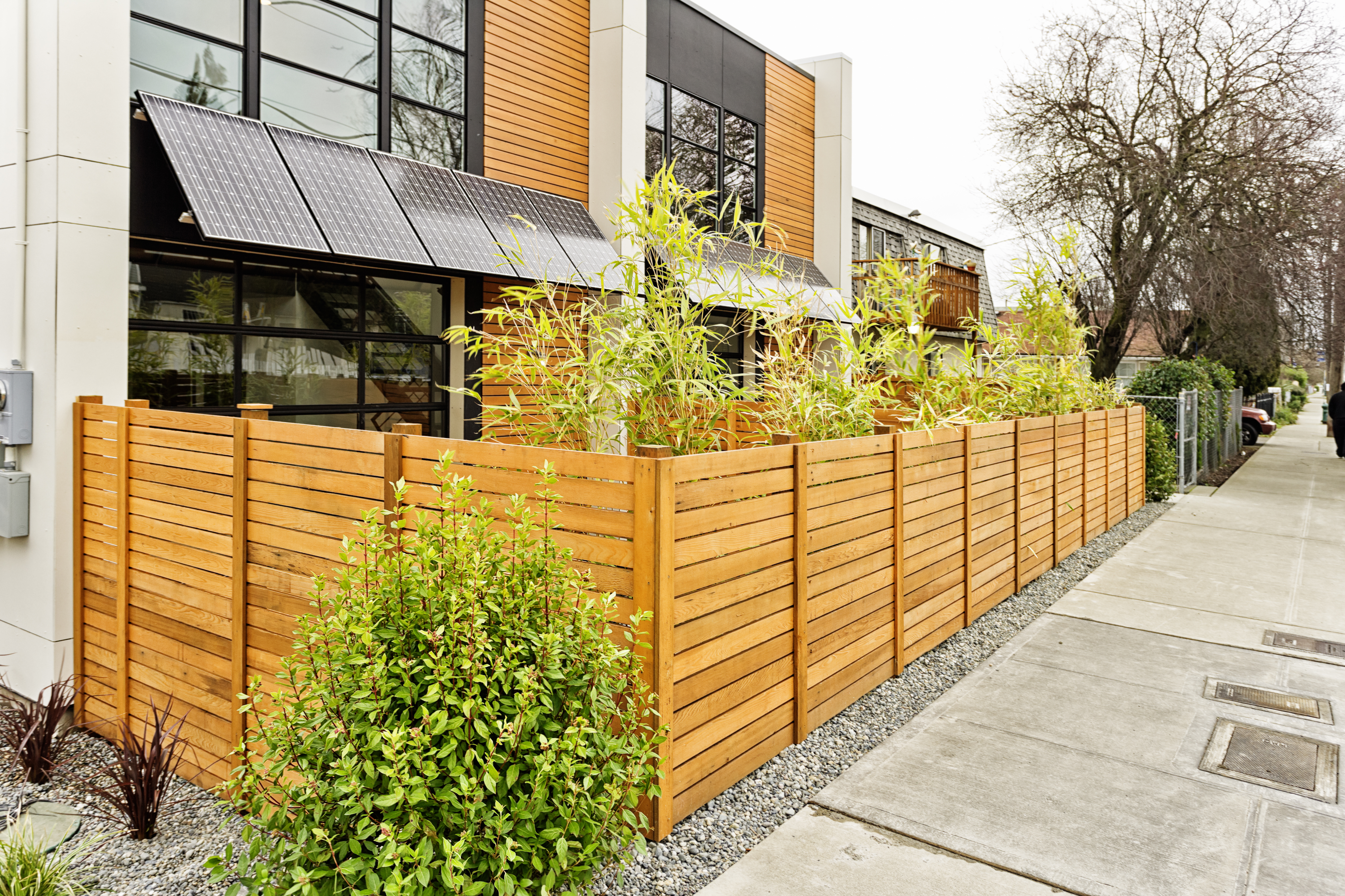 Living Green with Solar Panels