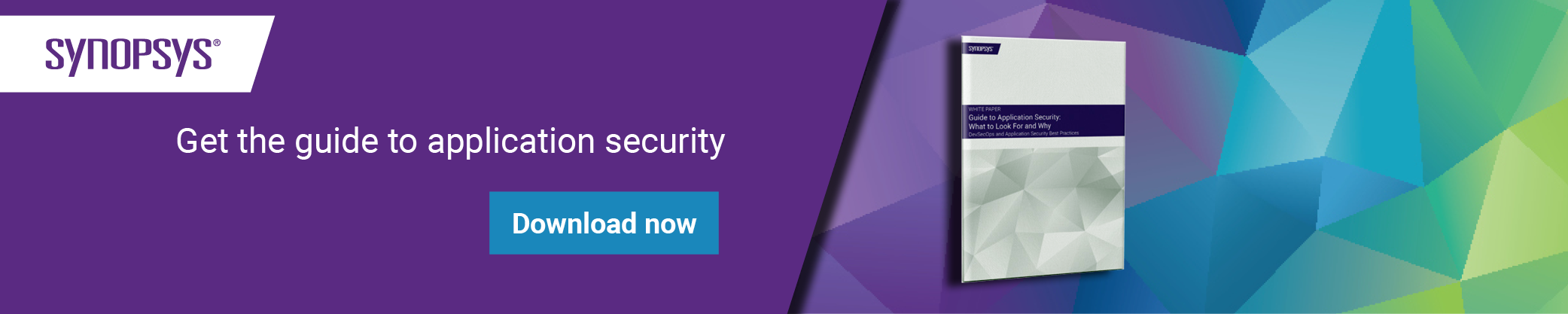 Get the guide to application security | Synopsys