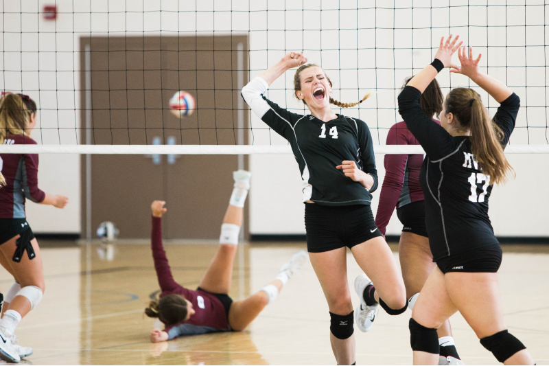 volleyball.png