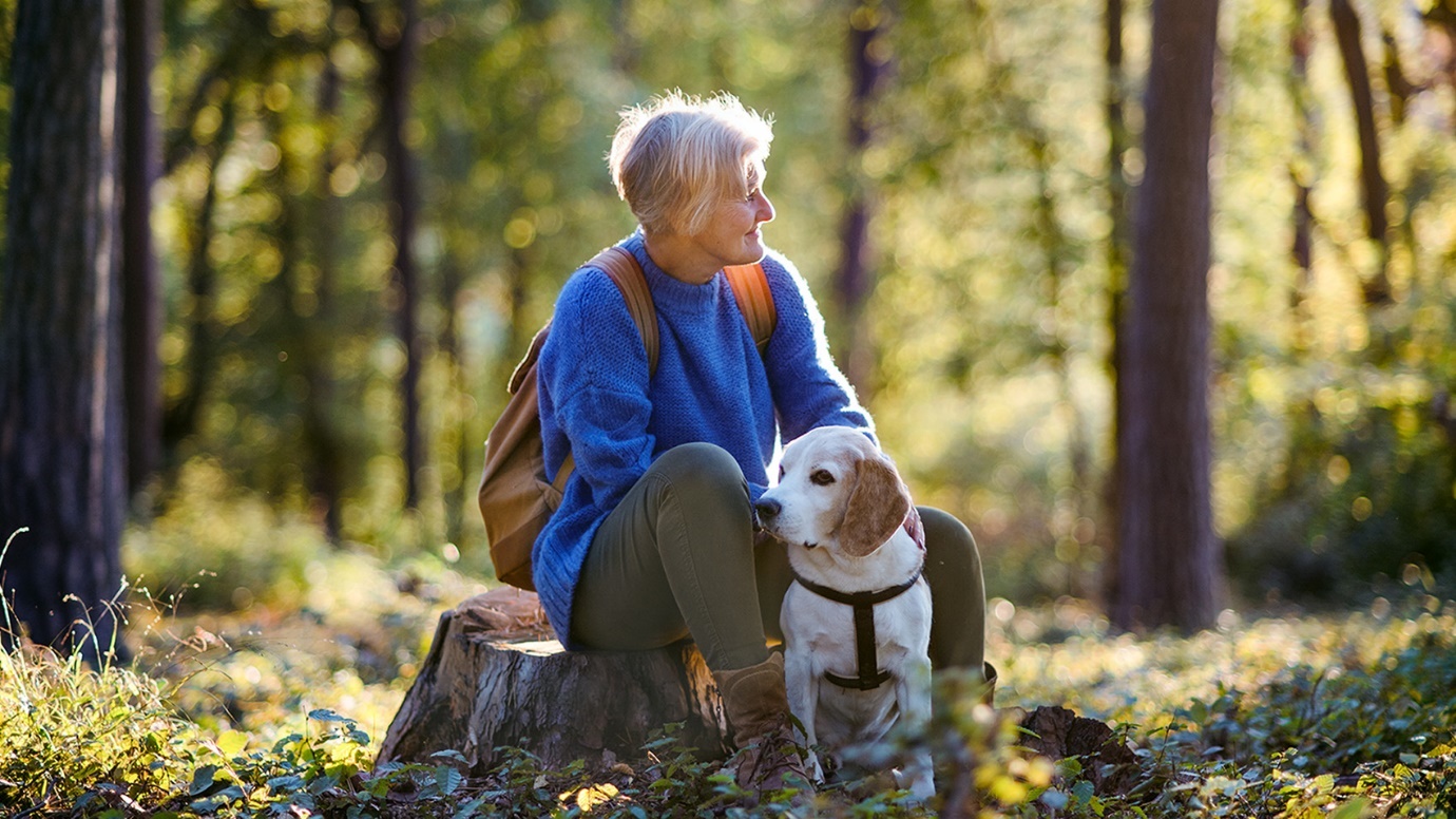 A person sitting on a log with a dog Description automatically generated with low confidence