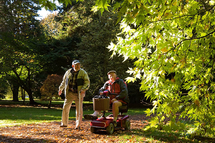 Taking a dog for a walk in the National Arboretum