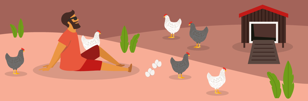 Pets_Chickens.jpg