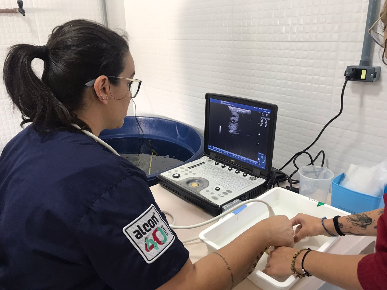 Mulher mexendo em computadorDescrição gerada automaticamente