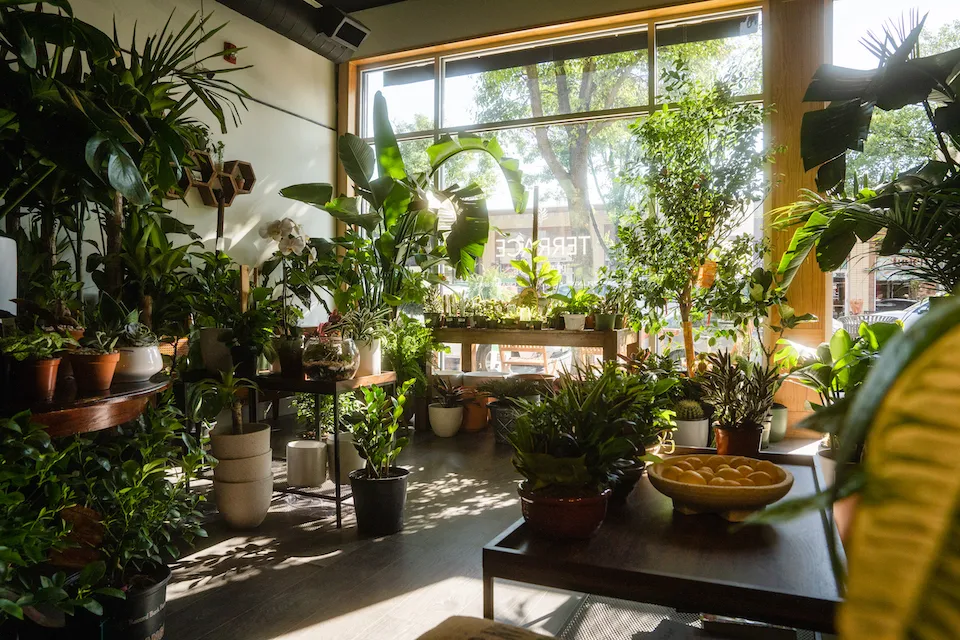 Terrace Plant Shop interior