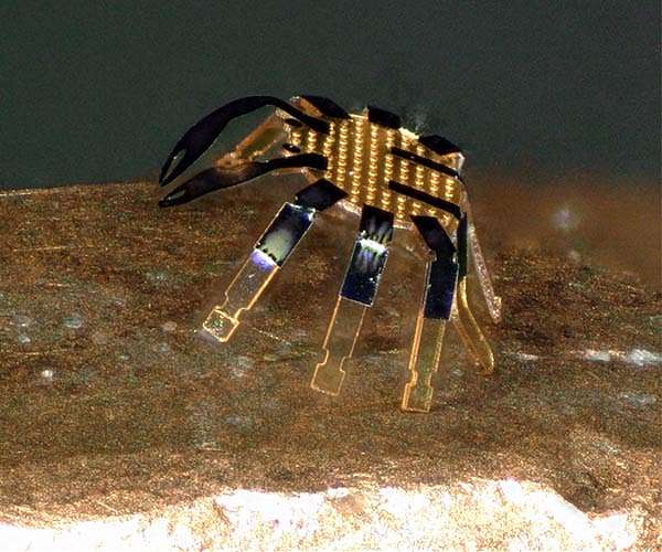 tiny-crab-robot-standing-coin-edge-marker-hg.jpg