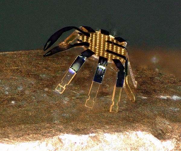 tiny-crab-robot-standing-coin-edge-marker-hg.jpg