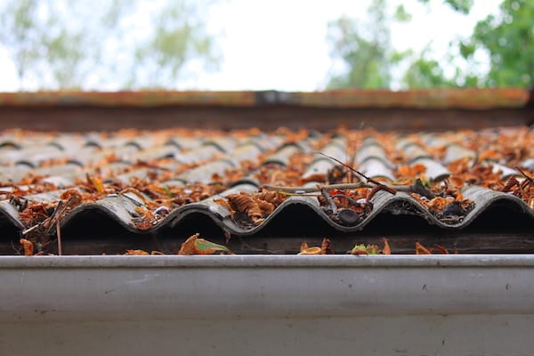 roof-cleaning-leaves.jpg